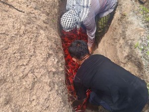 Mayat Pria Tanpa Kepala Gegerkan Warga Jinato Selayar, Sempat Dikira Boneka