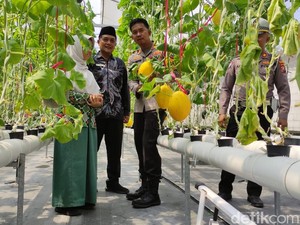 Polisi Sidoarjo Edukasi dan Dukung Santri Tanam Buah Hidroponik
