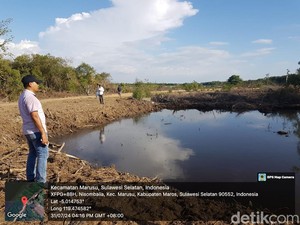 Hutan Lindung Mangrove Diduga Kantongi SHM di Maros Dibabat Sejak Awal 2024
