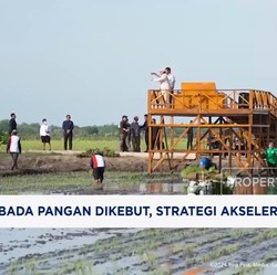Video: Swasembada Pangan Dikebut, Strategi Akselerasi Diuji
