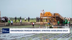 Video: Swasembada Pangan Dikebut, Strategi Akselerasi Diuji