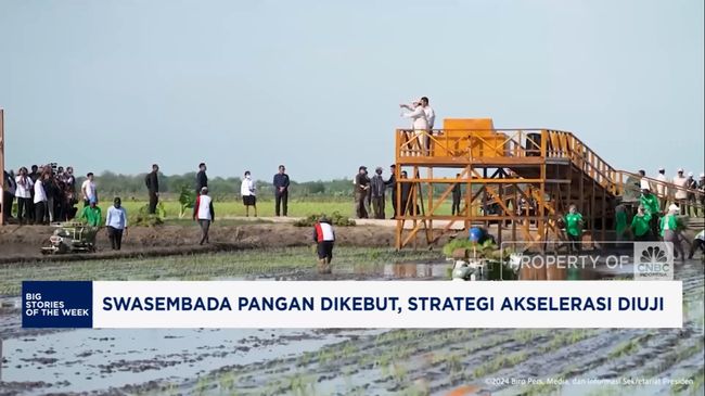 Swasembada Pangan Dikebut, Strategi Akselerasi Diuji