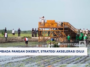 Video: Swasembada Pangan Dikebut, Strategi Akselerasi Diuji