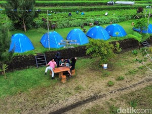 Penginapan di Sembalun Sepi Imbas Penutupan Gunung Rinjani