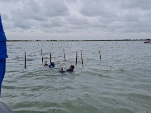 Kortas Tipikor Polri Mulai Selidiki Dugaan Korupsi Kasus Pagar Laut Tangerang
