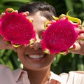 Buah Naga RI Mengukir Jejak di Pasar Dunia