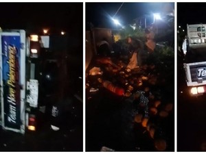 Tragis Mobil Pikap Terguling di Lampung: Durian-Uang Dijarah Warga