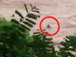 Momen Horor Abdul Terseret Arus Sebelum Menghilang di Sungai Cikandang