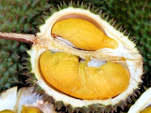 Marak Durian Ilegal Malaysia Masuk Lewat Batam, Polisi Selidiki