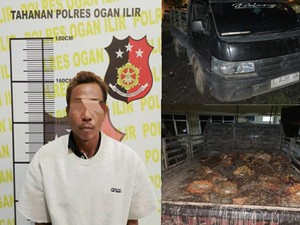 Pria di Ogan Ilir Diamankan Pemilik Kebun Usai Kepergok Curi Sawit