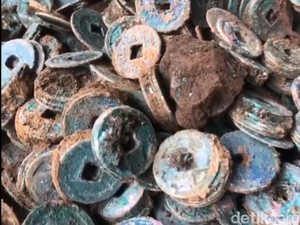 Warga Pasuruan Temukan Ribuan Koin Kuno Saat Hendak Tanam Kubis