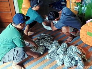 Kala Uang Receh Menjelma Jadi Harta Karun dalam Drum