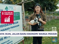 Video: Budidaya Ikan Bersama PIK2, Jalan Baru Ekonomi Warga Pesisir
