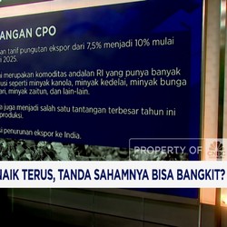 Video: Harga CPO Naik, Sahamnya Berpeluang Rebound
