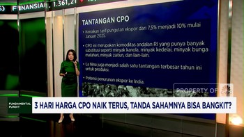Video: Harga CPO Naik, Sahamnya Berpeluang Rebound