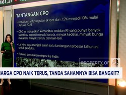 Video: Harga CPO Naik, Sahamnya Berpeluang Rebound