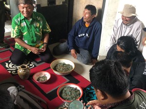 Terungkap 5.000 Keping Koin Kuno Temuan Petani Bromo Uang China