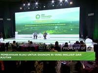 Video: Hashim Beberkan Penggunaan Dana Danantara Untuk Ini