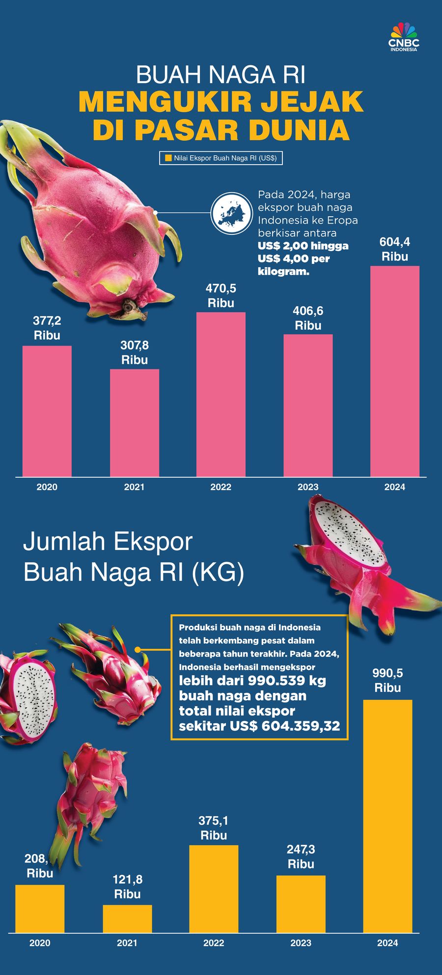 Buah Naga RI Mengukir Jejak di Pasar Dunia Buah Naga RI Mengukir Jejak di Pasar Dunia