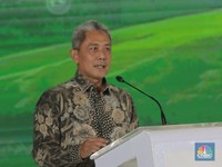 Pasar Karbon Masih Menantang, RI Jadi Negara Paling Berani