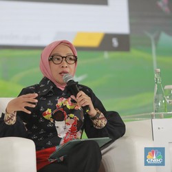 Bauran Energi Terbarukan RI Baru 14%, ESDM Ungkap Penyebabnya