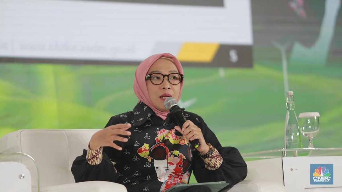 Energi Terbarukan RI Masih Tertinggal, ESDM Bongkar Rahasianya