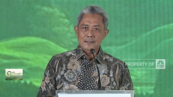 Video: Peluang & Tantangan Perdagangan Karbon di RI