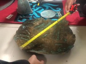 Selain 5 Ribu Koin Kuno China, Kariyo Juga Temukan Cermin-Guci