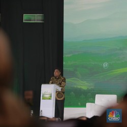 Investasi Energi Hijau RI Berkontribusi 25% di ASEAN