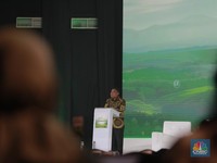 Investasi Energi Hijau RI Berkontribusi 25% di ASEAN