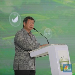 Hashim Sebut RI Bakal Bangun Pusat Tenaga Nuklir Hingga 4,3 GW