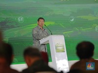 Hashim Ungkap RI Belum Akan Tutup PLTU Batu Bara