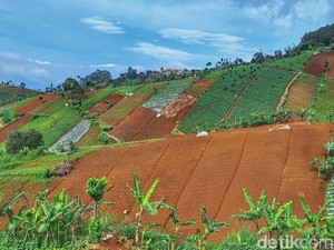 Krisis Lahan Kritis di Bandung Utara