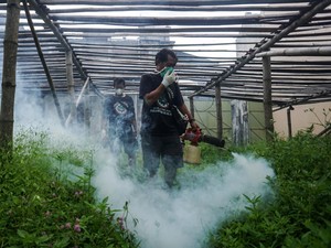 Kabupaten Cirebon Tetapkan Status Waspada KLB DBD