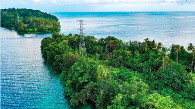 PLN Hidupkan Energi untuk Masa Depan Berkelanjutan