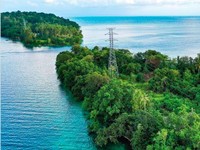 PLN Hidupkan Energi untuk Masa Depan Berkelanjutan