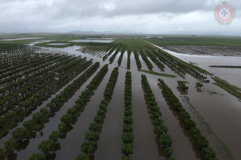 Foto udara menujukkan daerah yang terkena banjir di sekitar Townsville, Queensland. Australia, Minggu (2/2/2025). (Handout / Queensland Fire Department / AFP)