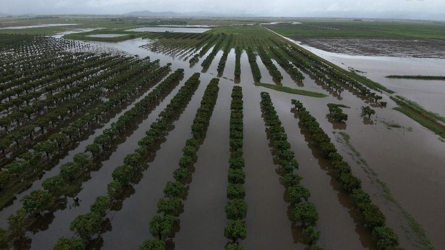 Foto udara menujukkan daerah yang terkena banjir di sekitar Townsville, Queensland. Australia, Minggu (2/2/2025). (Handout / Queensland Fire Department / AFP)