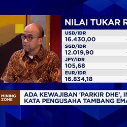 Video: Ada Kewajiban Parkir DHE, Pengusaha Tambang Emas Bilang Ini