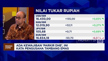 Video: Ada Kewajiban Parkir DHE, Pengusaha Tambang Emas Bilang Ini