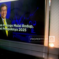 Video: Menilik Prospek Saham Prajogo Pangestu di 2025