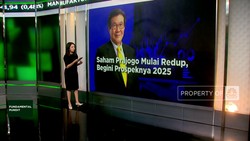 Video: Menilik Prospek Saham Prajogo Pangestu di 2025