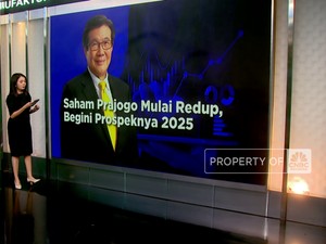 Video: Menilik Prospek Saham Prajogo Pangestu di 2025