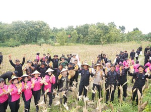Program Ketahanan Pangan Polda Jateng, Panen Jagung Kuartal I Naik 33%