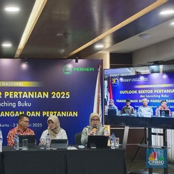 Ternyata Ini Alasan RI Tak Impor Beras Tahun 2025