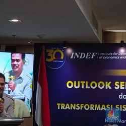 RI Bisa Swasembada Beras di Era Prabowo, Pakai Cara Soeharto-Jokowi?