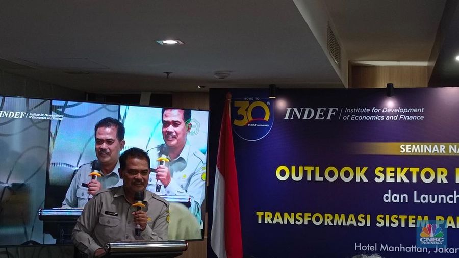 Staf Ahli Menteri Pertanian, Suwandi dalam Seminar Nasional Outlook Sektor Pertanian 2025 INDEF, Senin (3/2/2025). (CNBC Indonesia/Martyasari RIzky)