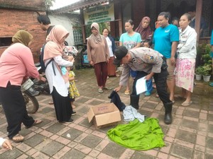 Miris Bayi Dibungkus Kardus Dibuang Dekat Ponkesdes di Jombang