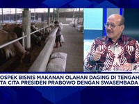 Video: Pengusaha Bicara Langkah Menuju Swasembada Pangan