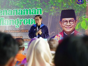 Kenneth DPRD DKJ Dukung Pramono Bikin Giant Mangrove Wall di Pesisir Jakarta